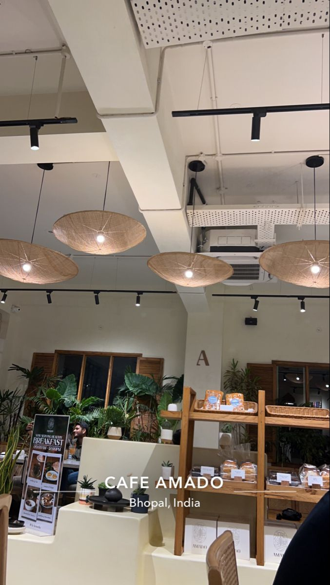 Zira Collection Item